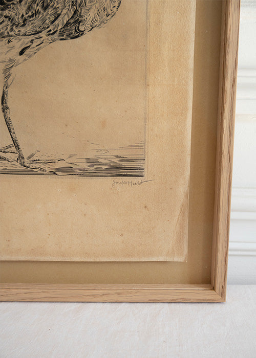 Gravure au burain sur papier 36 x 29 cm