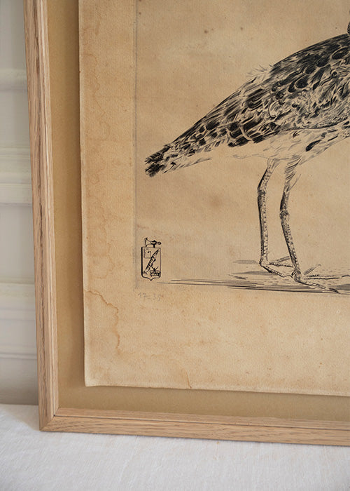 Gravure au burain sur papier 36 x 29 cm