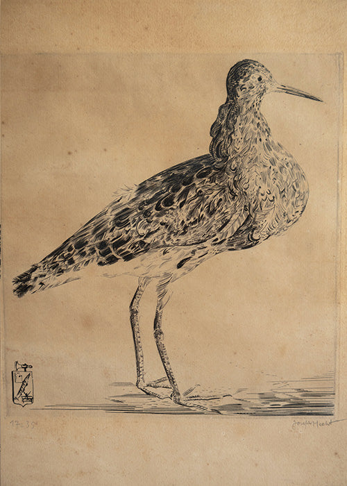 Gravure au burain sur papier 36 x 29 cm